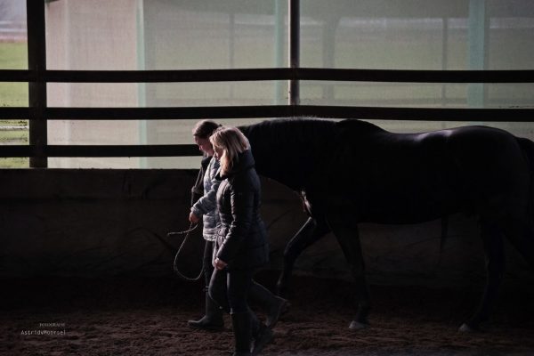 DSC05578dynamicoaching