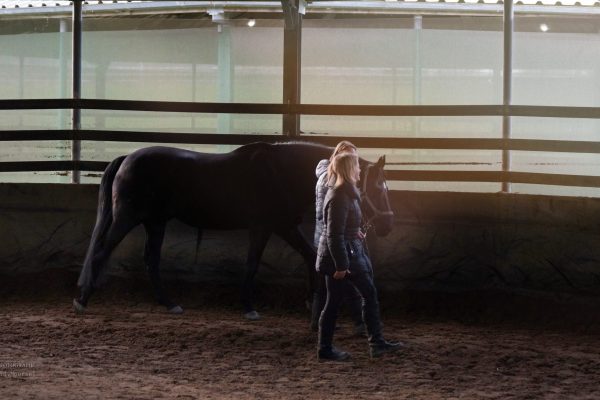 DSC05605dynamicoachingb