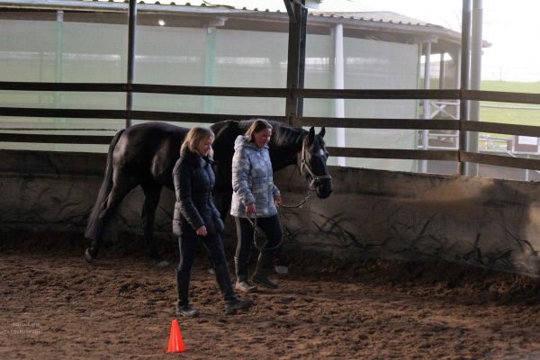 DSC05606dynamicoaching