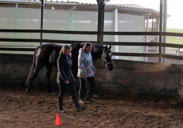 DSC05606dynamicoaching